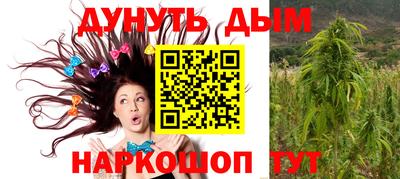 стафф Будённовск