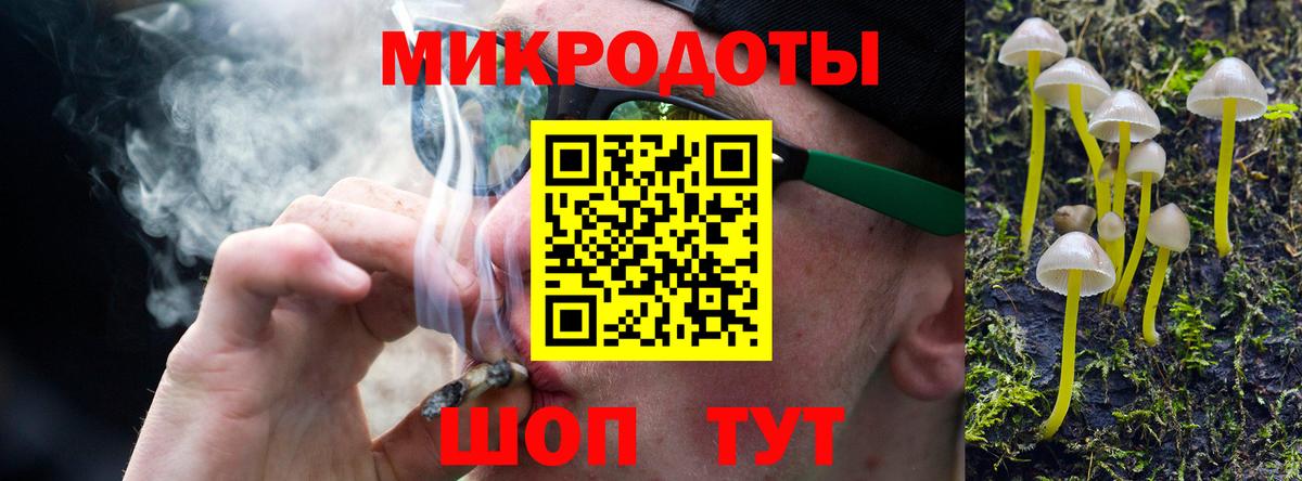 Псилоцибиновые грибы Cubensis Сосновый Бор